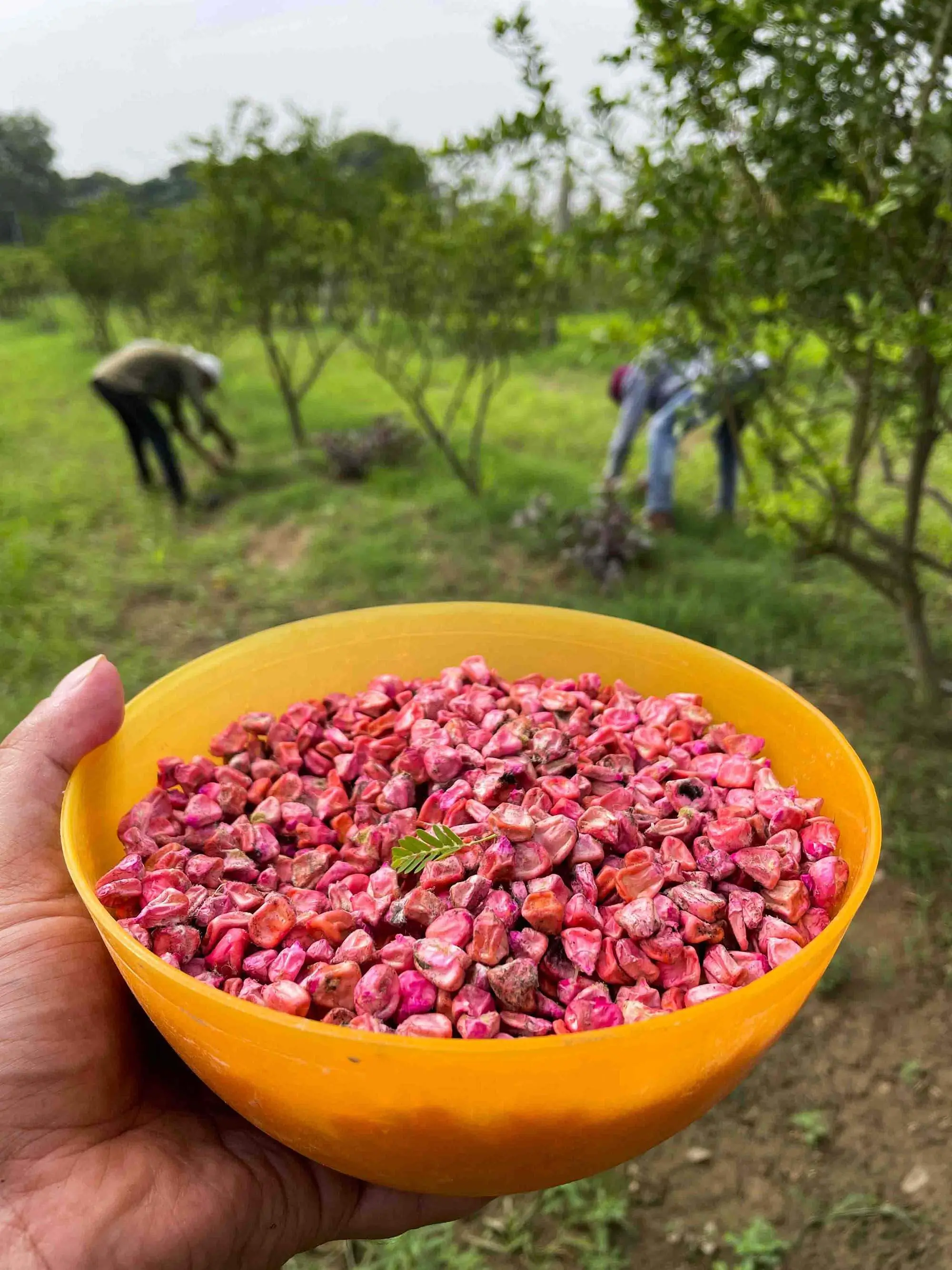 top places to visit in ghaziabad