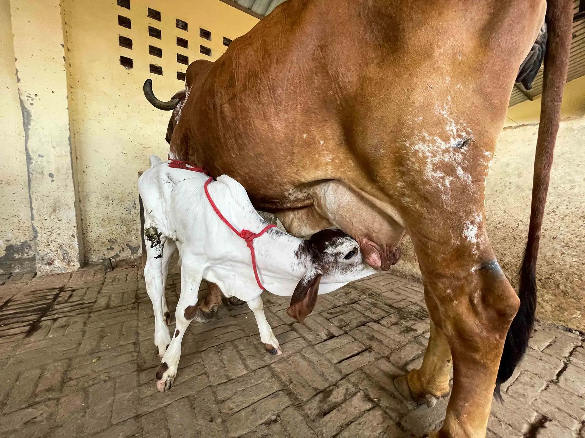 top places to visit in ghaziabad